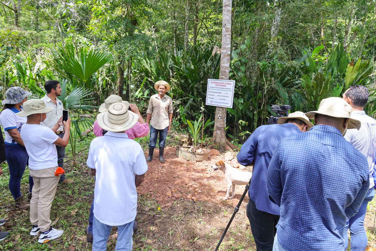 Productores de la cuenca oriental del Canal de Panamá muestran sus avances