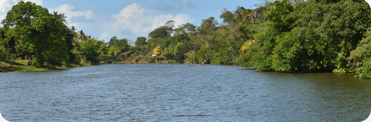 Censo socioeconómico en la cuenca de río Indio es una herramienta clave para el desarrollo de las familias en el área del proyecto